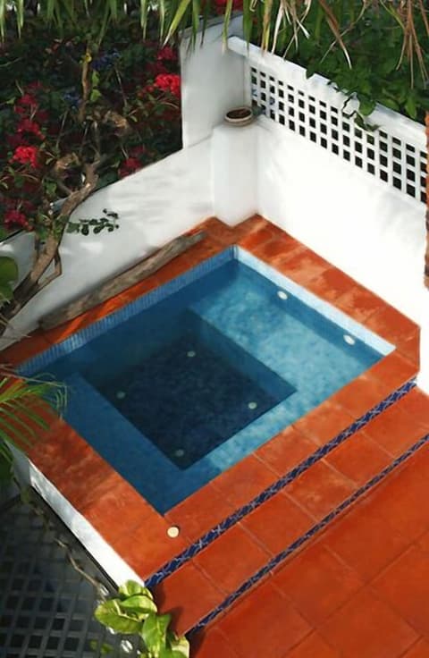 Les Lezards B&B, Rooftop pool