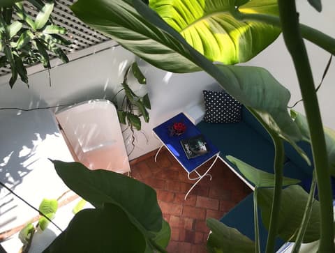 Les Lezards B&B, Room