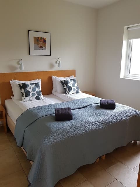 Saeluhus Apartments & Houses, 