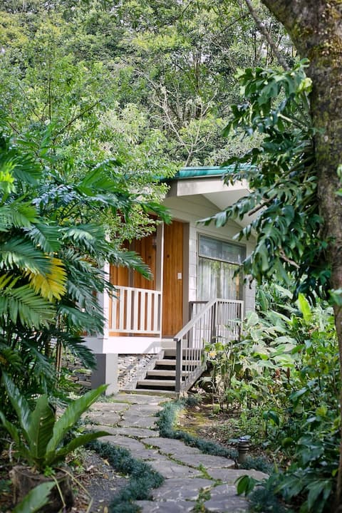 Senda Monteverde Hotel Member of the Cayuga Collection, Room