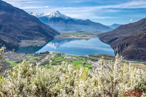 Ca' Elsa Bed & Breakfast, City view from property