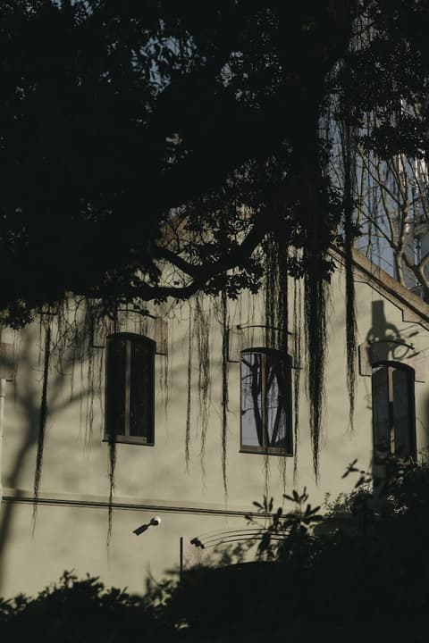 Vila Foz Hotel & SPA - member of Design Hotels, View from room