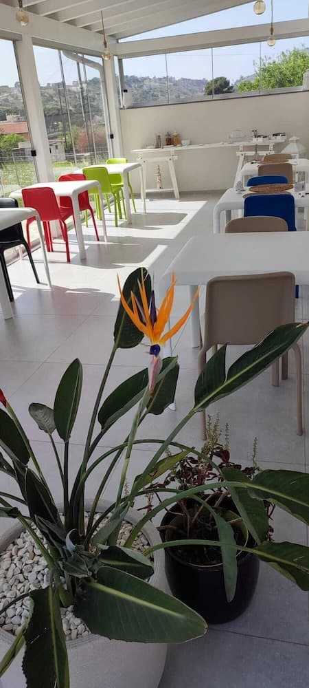 5 Elementi, Living area