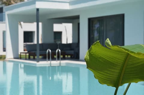 Paloma Finesse All Inclusive, Room