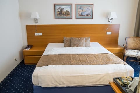 Hotel Brunnenhof, Room