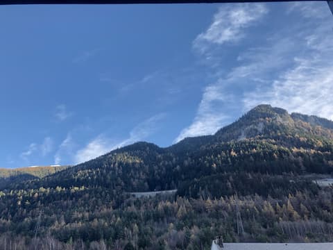 Hôtel Le Perce Neige, Mountain view