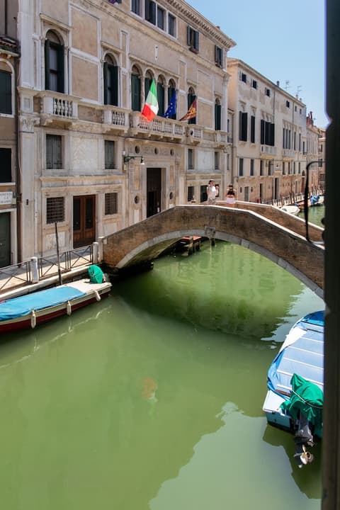 Charming Palace Santa Fosca, View from room