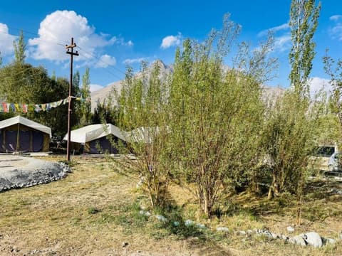Hotel Nubra Delight and Camps, Exterior