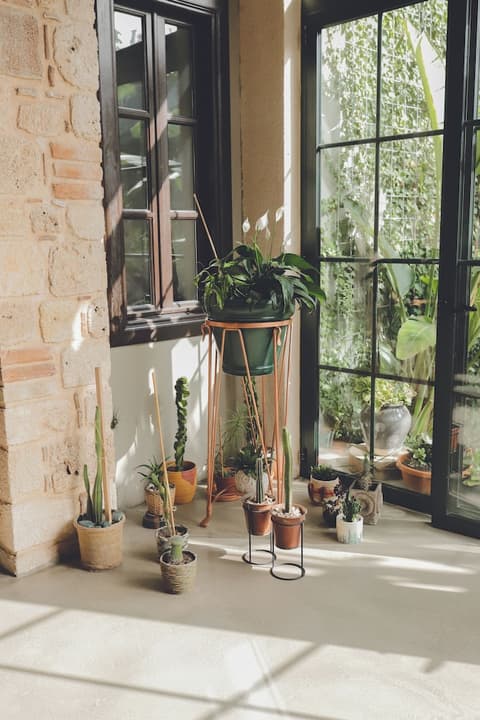 Casa Sur Antalya, Reception