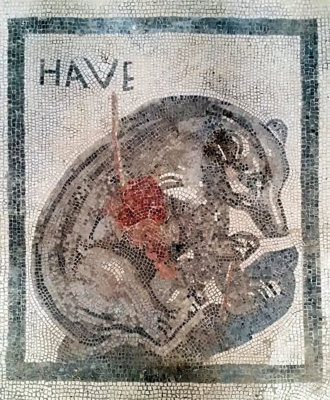 H.ave, Point of interest