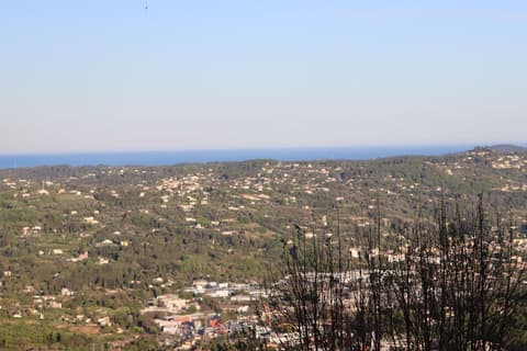 Skylark Bed & Breakfast, Exterior