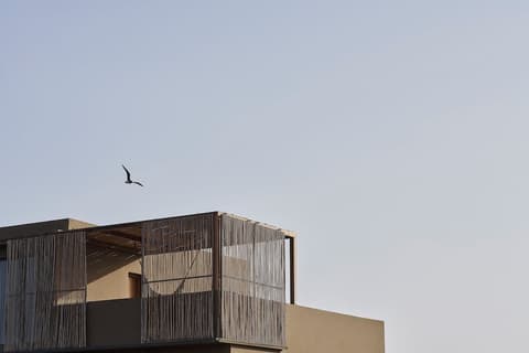 Casa Cook El Gouna - Adults Only, Room