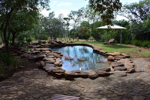 Sekala Private Game Lodge, Outdoor pool