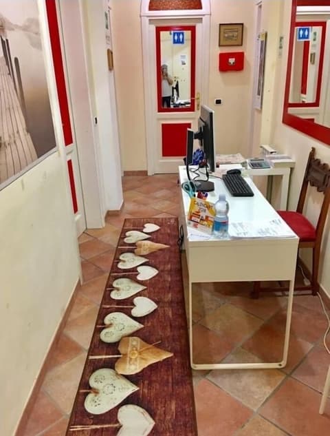 Zidan Guest House, Reception