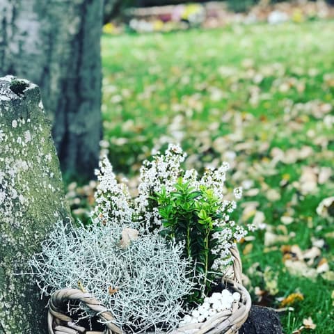 Snorri's Guesthouse, Garden