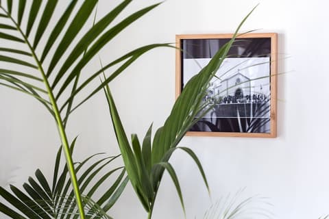 Monte da Guia Alojamento Local, Interior detail