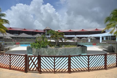 Sea Sun Manga Mangano, Miscellaneous