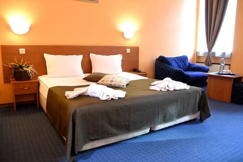 Sveta Sofia Hotel, Room