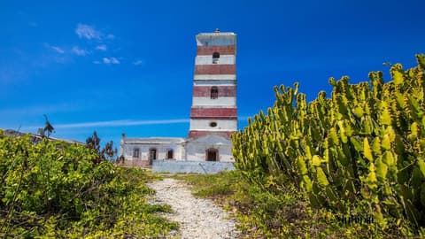 Hotel Omuhipiti, Safari
