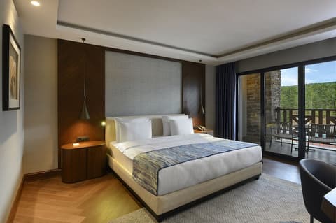 Elite World Grand Sapanca, Room