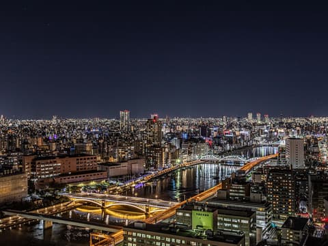 APA Hotel & Resort Ryogoku Eki Tower, View from room