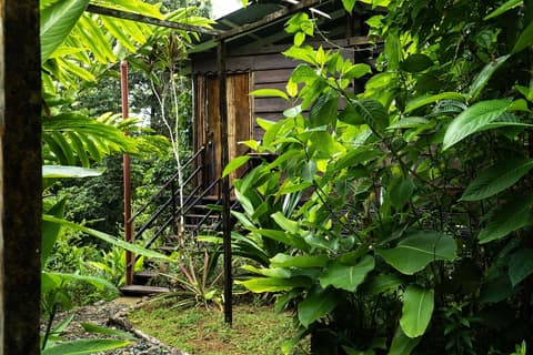 La Loma Jungle Lodge, Room
