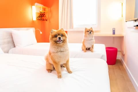 ibis budget São Caetano, Room