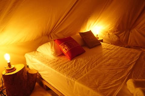 Roost Glamping, Room