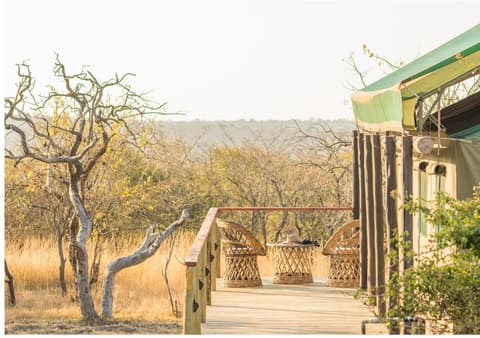 Timbavati Safari Lodge, Property grounds