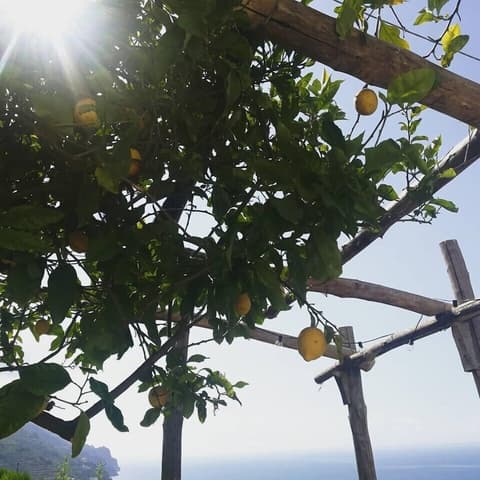 Torre Elisea, Exterior detail