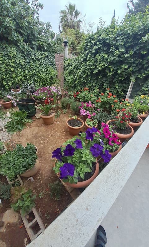 Carpe Diem Apartments By Athens Airport, Room