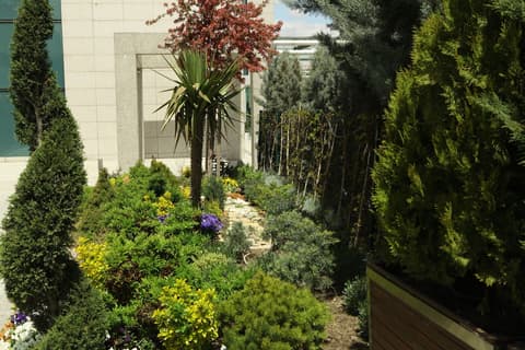 CPAnkara Hotel, Garden