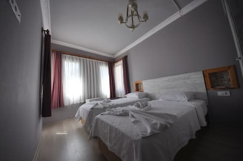 Queen Bee Hotel, Room