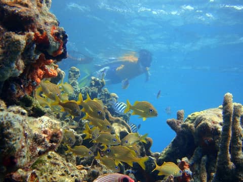 Hotel San Pedro de Majagua, Surfing/boogie boarding