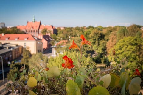 Hotel Gaja, Rooftop terrace