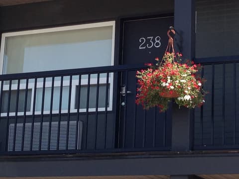 Centro Motel, Property grounds