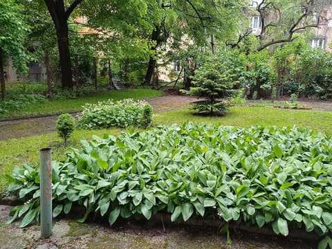 Casa Ferrari B & B, Garden