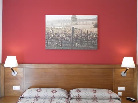 Hotel Milagros Rio Riaza, Room