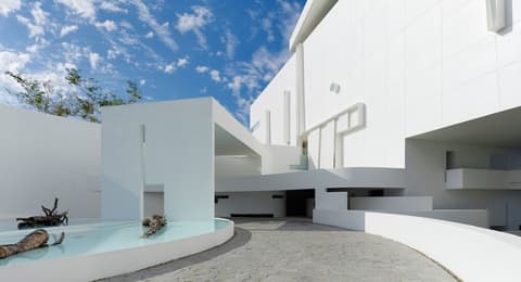 Encanto Acapulco, Reception