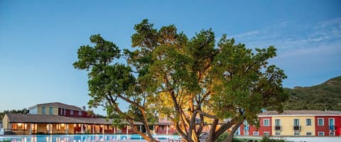 Eco Hotel Orlando, Front of property