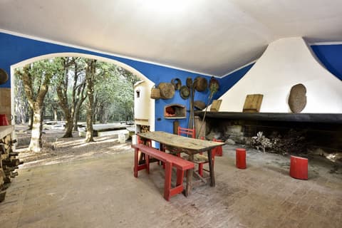 Eco Hotel Orlando, BBQ/picnic area