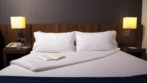 Holiday Inn Express Bilbao by IHG, Room