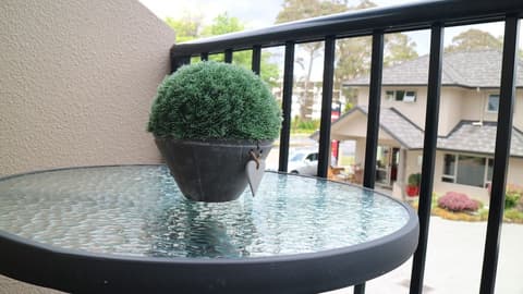 Executive on Fenton, Garden view