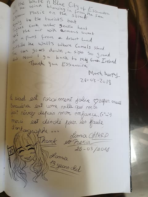 Riad Sidi Magdoul, Reception