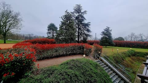Hotel Villa delle Rose, Exterior