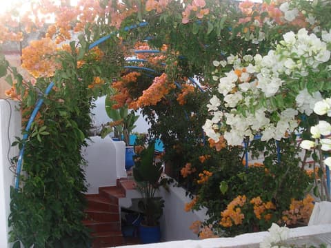 Riad Marlinea, Property grounds