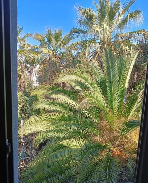 My Marin Hotel - Boutique Class, Exterior