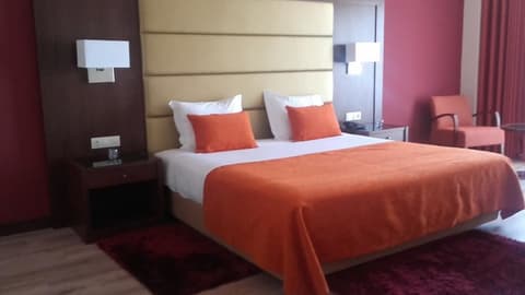 Palace Hotel & SPA Termas do Bicanho, Room