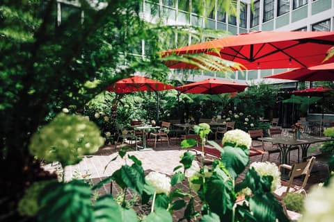 Le Grand Quartier, Terrace/patio