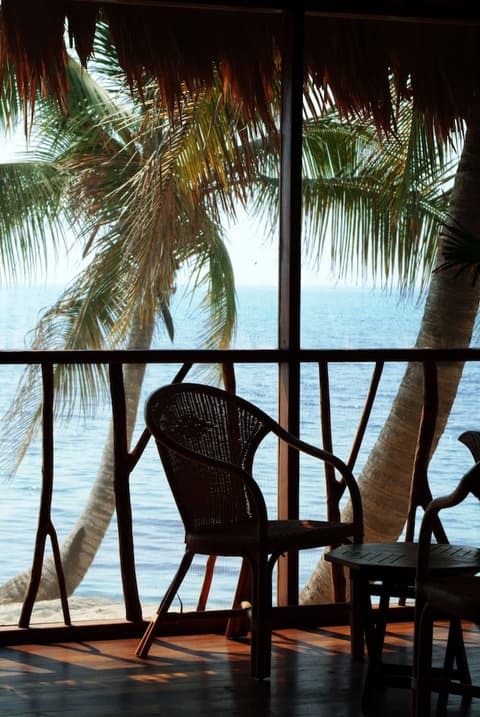 Turtle Inn by Francis Ford Coppola, Room